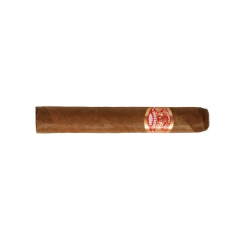 Zigarren Partagas Shorts