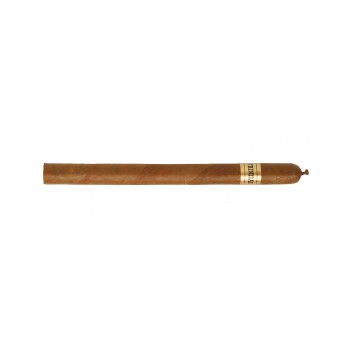 Zigarren Trinidad Fundadores