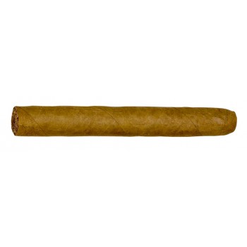 Zigarren Corona Fehlfarben Sumatra