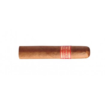 Zigarren Partagas Serie D N° 5