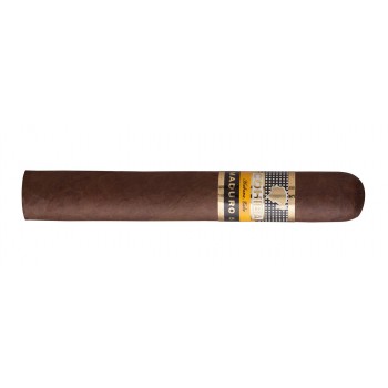 Zigarren Cohiba Maduro V Genios