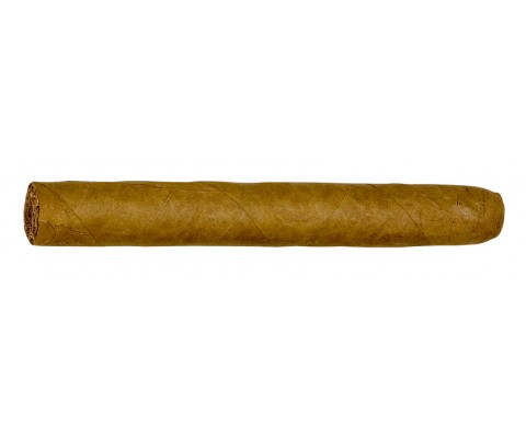 Zigarren Corona Fehlfarben Sumatra