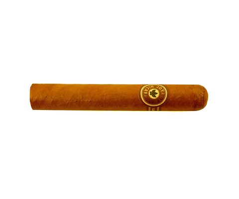 Zigarren Joya de Nicaragua Clásico Robusto