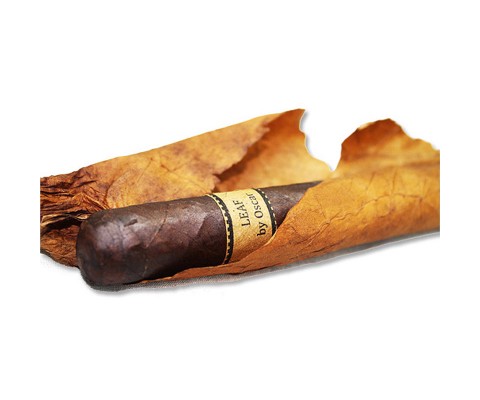 Zigarren Leaf by Oscar Maduro Robusto